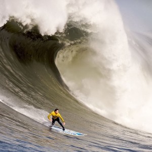 开云官网体育-詹姆斯替补登场瞬间提升场上节奏湖人止颓势，詹姆斯 替补